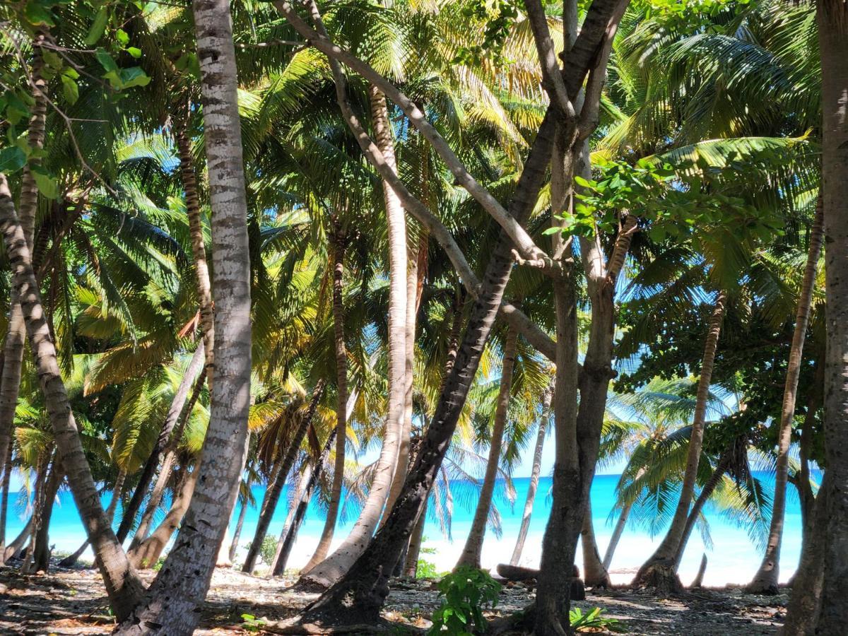 Beachfront Apartment, Quiet 4 Beds, 1 Bath, Ac, Wi-Fi, Hot Water, In Paraiso Near Los Patos Buitenkant foto