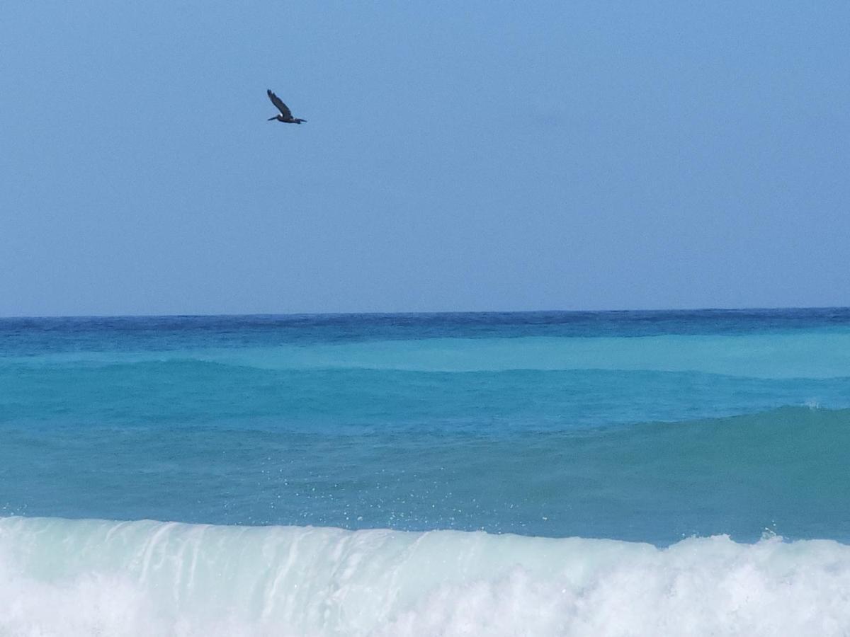 Beachfront Apartment, Quiet 4 Beds, 1 Bath, Ac, Wi-Fi, Hot Water, In Paraiso Near Los Patos Buitenkant foto